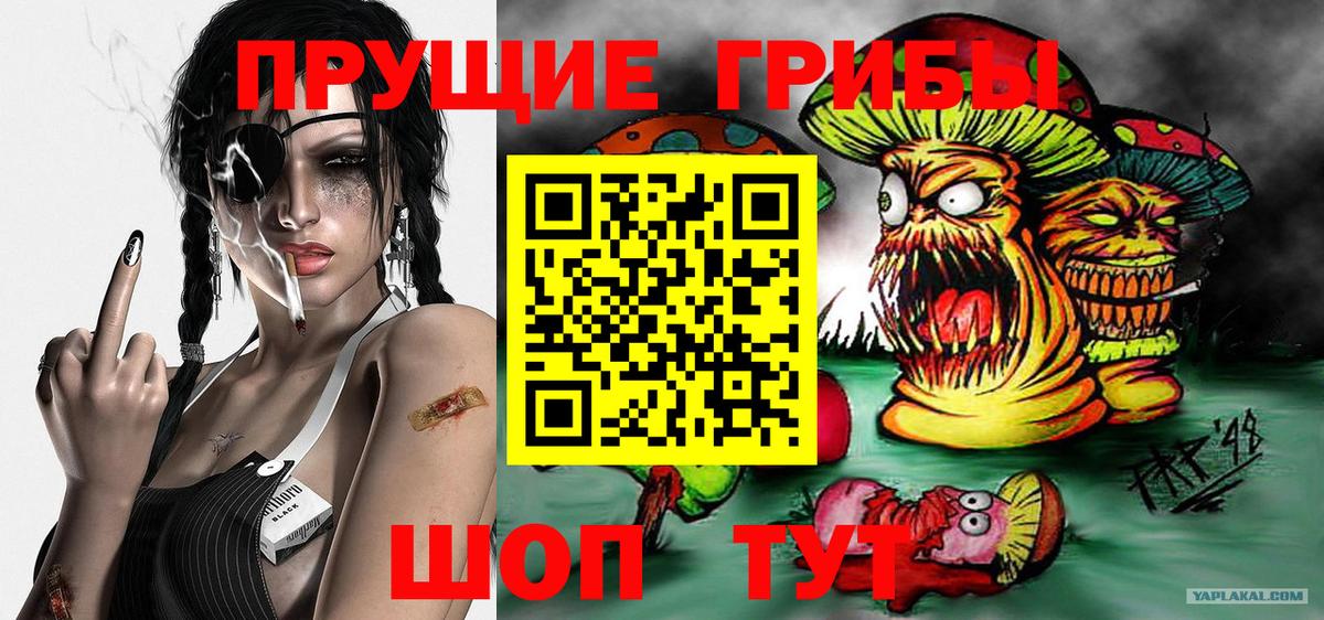 Галлюциногенные грибы Psilocybe Людиново
