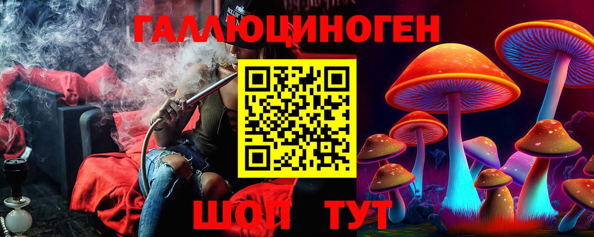 Людиново  Галлюциногенные грибы мухоморы  Вход с VPN 